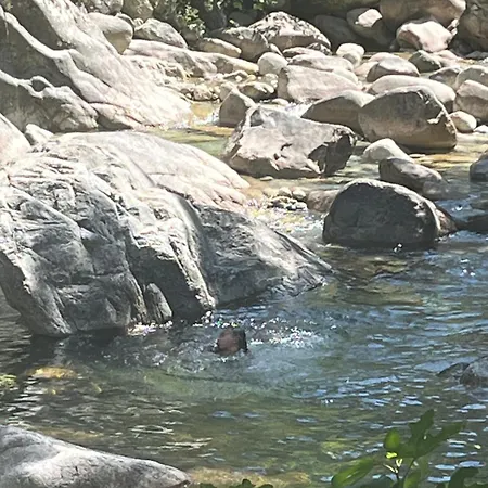 Arborea C4 アパート *